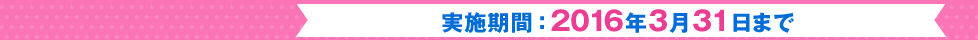 実施期間：2016年3月31日まで